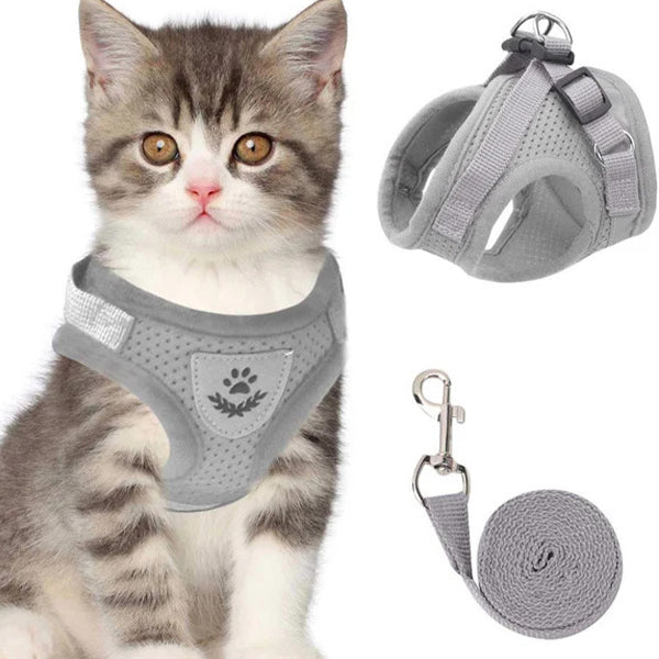 Adjustable Breathable Luminous Pet Vest Harness and Leash Set