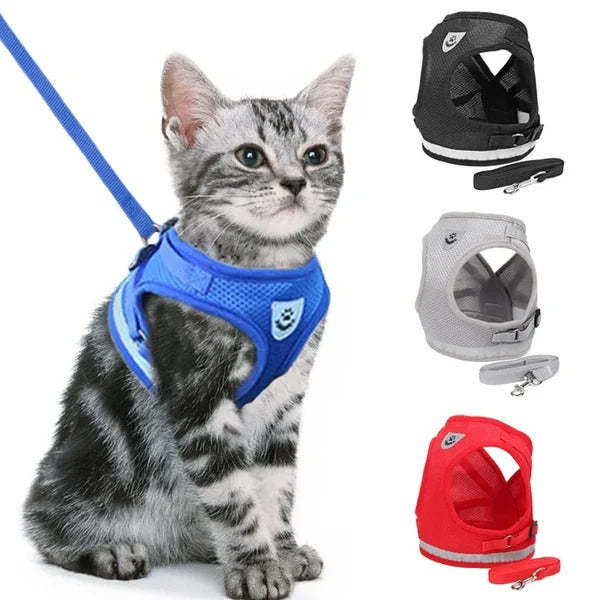 Adjustable Breathable Luminous Pet Vest Harness and Leash Set