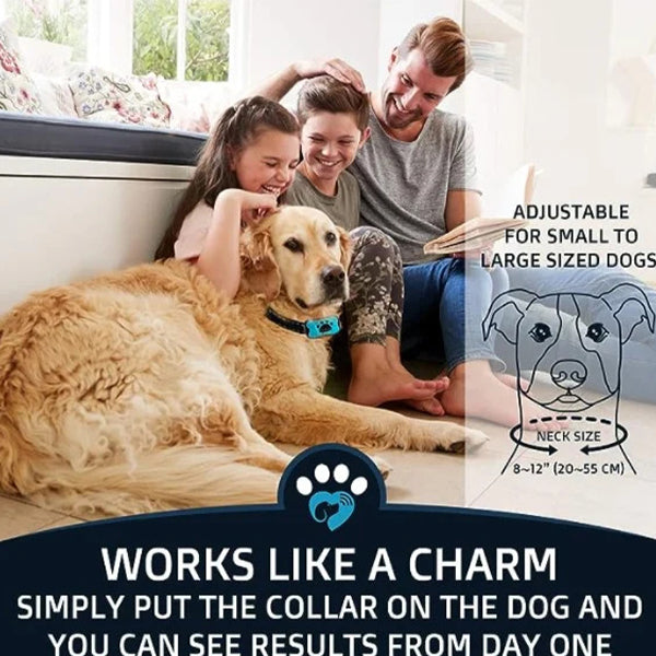 Anti-Bark Collar