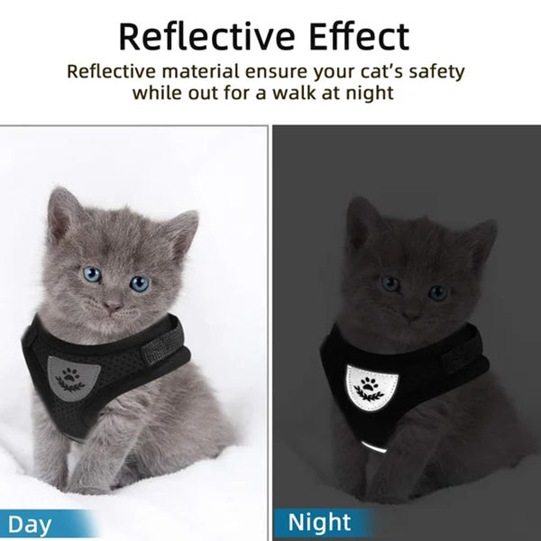 Adjustable Breathable Luminous Pet Vest Harness and Leash Set
