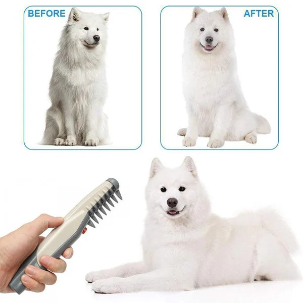 Electric Pet Dog Grooming Comb