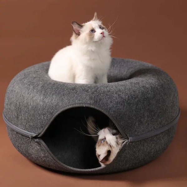 MeowMaze Bed