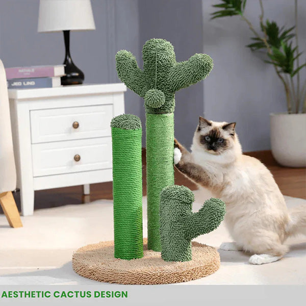 The Scratching Cactus