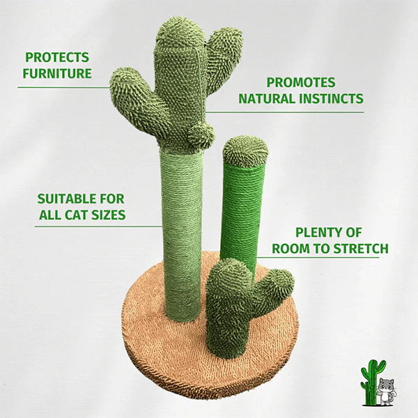 The Scratching Cactus