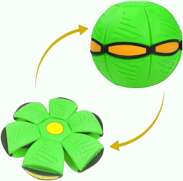 Frisbee ball Toy